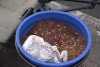 Pictures 006